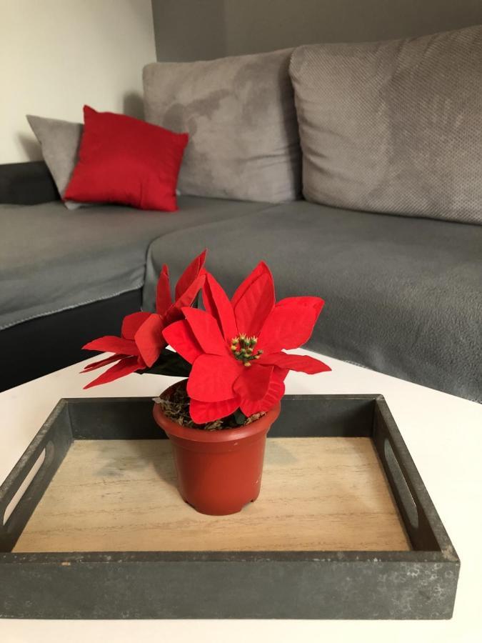 Charming Rijeka City Center Apartment Renee Bagian luar foto